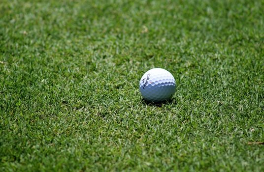 Golf ball golf course grass
